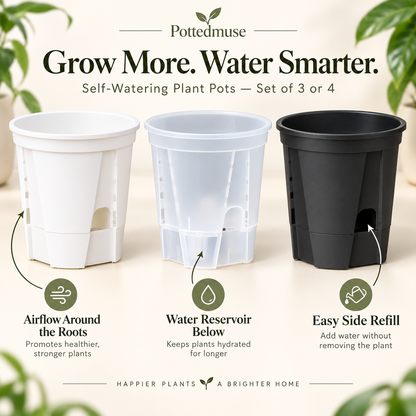 Self-Watering Plant Pots with Drainage – Indoor Planter Set with Water Reservoir, 7 Inch Set of 4 or 8 Inch Set of 3