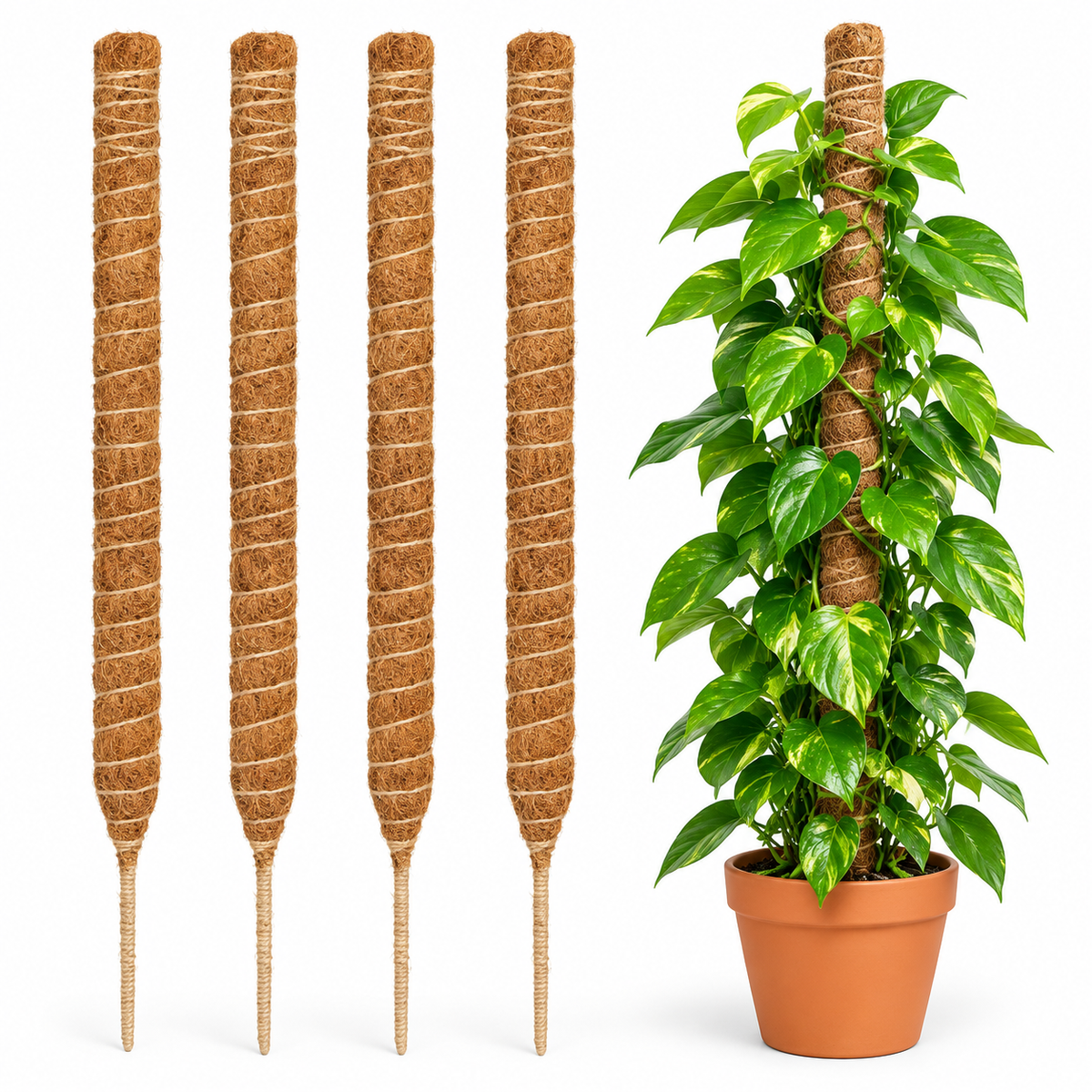 Bendable Coir Moss Pole, Set of 2 – 16 and 24 Inch Plant Supports for Monstera, Pothos and Philodendron